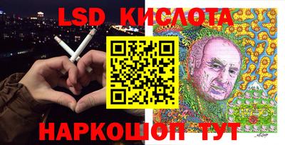 прущие грибы Можга