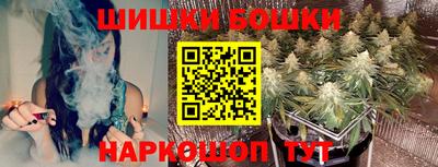 прущие грибы Можга