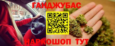 прущие грибы Можга