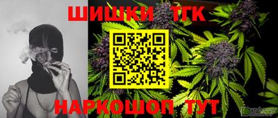 прущие грибы Можга