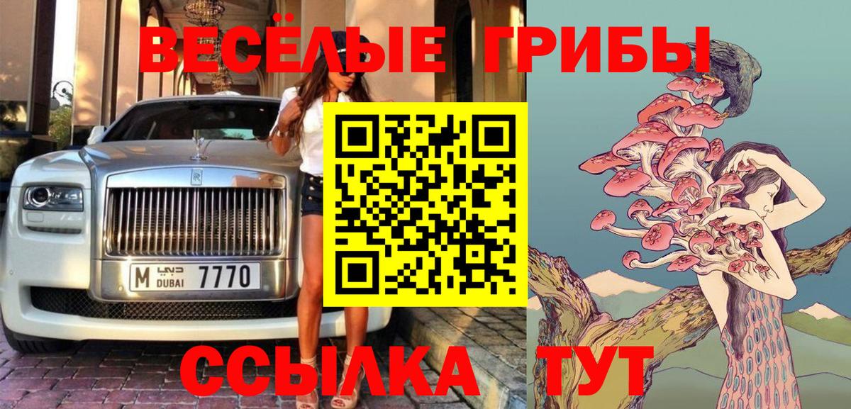 Углич  Псилоцибиновые грибы Cubensis  Вход с VPN 